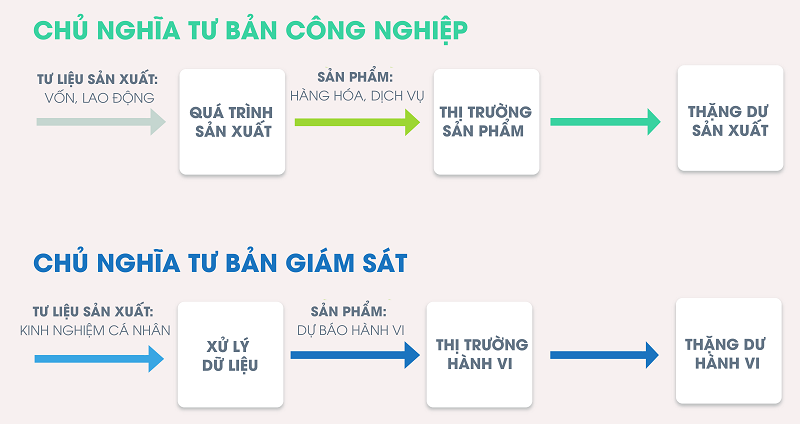 cá cược thể thao hul city